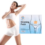 Magnet Slimming Patch Factory - Fat Reducing Customizable