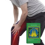 Camphor Plaster Supplier - Natural Herbal Lumbago Relief