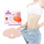 Sleep Belly Patch Manufacturer - Herbal Abdomen Slim 5PCS