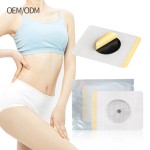 Magnet Slim Patch Manufacturer - Beauty Personal Care