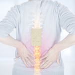 Herbal Pain Patch Factory - Shoulder Back Relief Free Sample