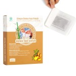 Ginger Detox Patch Supplier - Direct Factory OEM Service