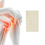 Muscle Pain Patch Supplier - Knee Pads Back Relief Price