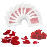 Rose Detox Patch Manufacturer - Natural Herbal Factory Price