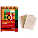Pain Relief Patch Manufacturer - Adhesive Porous Capsicum