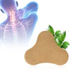 Cervical Spine Patch Manufacturer - Moxa Heat Pack Fast Effective