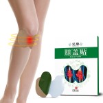 Knee Joint Patch Supplier - Wormwood Extract Ache Relief