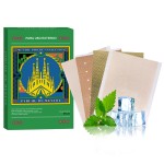Camphor Plaster Supplier - Natural Herbal Lumbago Relief