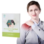 Herbal Plaster Factory - Back Knee Shoulder Joint Pain