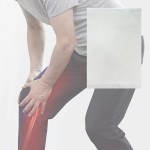 Lumbar Back Patch Factory - Capsicum Plaster Muscle Relief