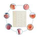 Herbal Pain Patch Factory - Shoulder Back Relief Free Sample