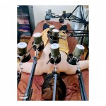 Herbal Moxibustion Stick Supplier - Pure Natural Enhances Body Qi Collaterals