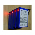 Rechargeable Lithium Battery Manufacturer - 12V 4800mah for EL Cold Light Sheets