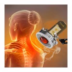 Wormwood Moxa Stick Factory - Experts Specify 100% Pure Natural High-Efficiency