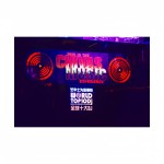 EL Advertising Poster Factory - Customized Ultra-Thin High Brightness Flash