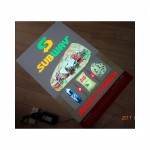 EL Sheet Inverter Factory - Customized 0~1000W for EL Posters Flash Program