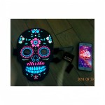 EL Voice-controlled Mask Supplier - Specially Designed for Theme Parties Electronic