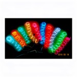 EL Wire Factory - Polar Light 3 2.6mm 10 Colors Constant Flash Sound Control
