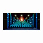 EL Light Strip Supplier - Ultra-Thin High-Brightness Custom Cinema Starroof