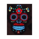 EL Sheet Mask Supplier - Voice Control Mode Nightclubs Bars Parties Dazzling