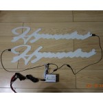 EL Car Sticker Supplier - Customizable Constant Flash Various Designs Windshields