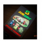 EL Sheet Inverter Factory - Customized 0~1000W for EL Posters Flash Program