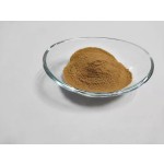 OEM Dietary Supplement Tremella Extract Capsules Tremella Fuciformis Capsules