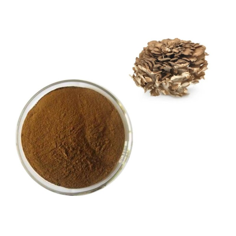 Function Food Ingredient Organic Maitake Extract Powder Polysaccharides 10%~50%