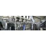 Factory Supply Wholesale Pumpkin Powder