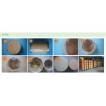 Function Food Ingredient Organic Maitake Extract Powder Polysaccharides 10%~50%