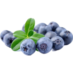 Fruit Extract Wild Blueberry Powder Blueberry Juice Powder Water Soluble Blueberry Fruit Powder