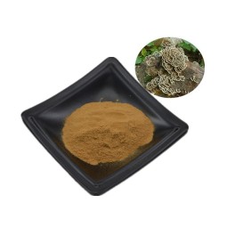 Turkey Tail Mushroom Powder Bulk Price Yunzhi Coriolus Versicolor NOP EU Organic Trametes Versicolor Powder
