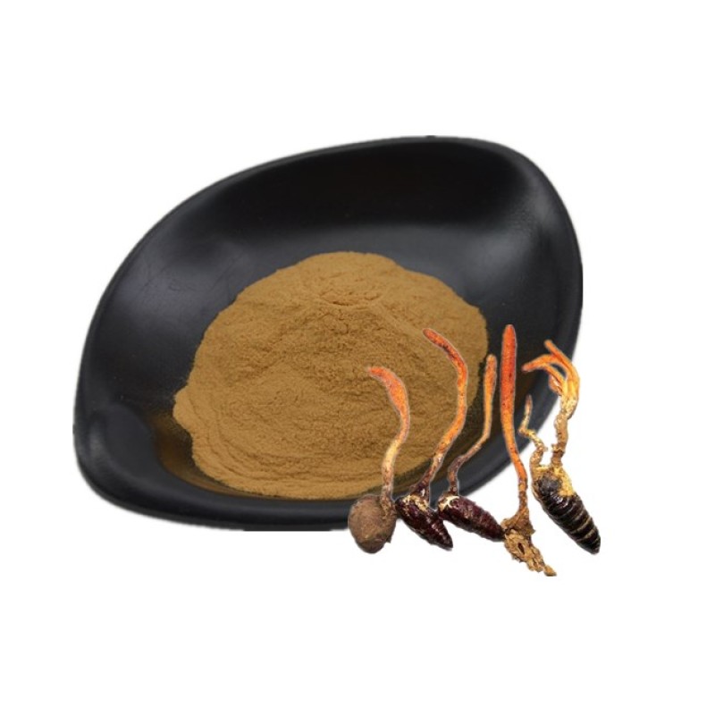 Bat Moth Penicillium Mycelium Powder Cordyceps Powder CS-4 Bulk Fermented Cordyceps Mycelium Powder