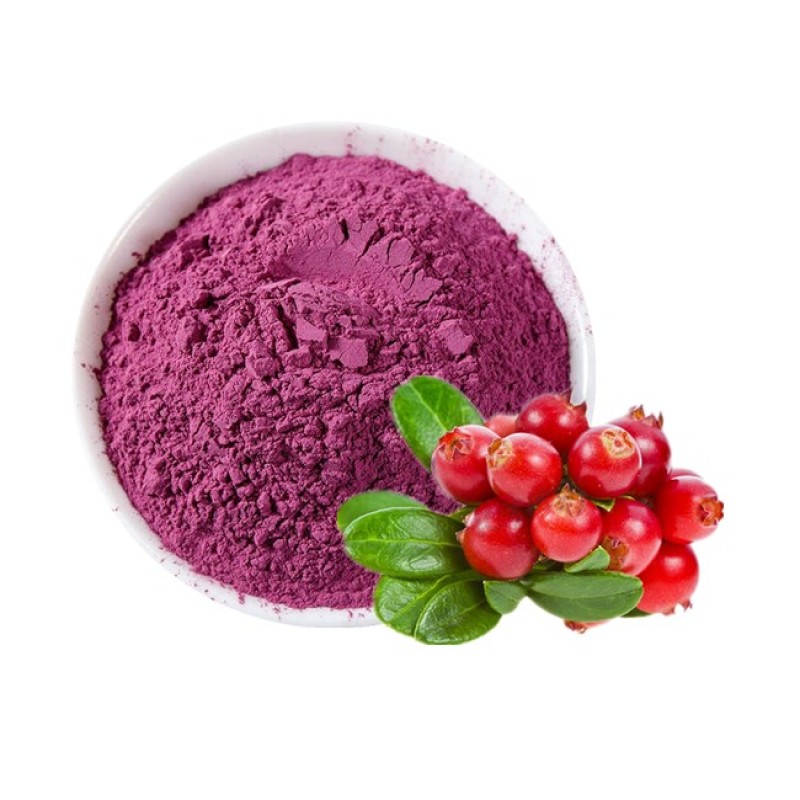 Bilberry Extract Fruit Bilberry Powder Food Supplement Bilberry Fruit Powder