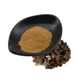 Maitake Mushroom Powder Fruiting Body Pure Natural Organic Maitake Powder