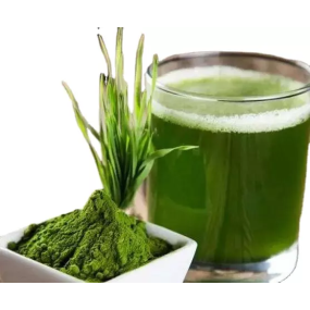 Organic ISO Halal Kosher BRC Certificated Hot Selling Barley Powder Grass Barley Grass Juice Extract Powder