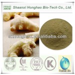 Wholesale Factory Supply  Ginger root extract Gingerol Ginger Extract Powder