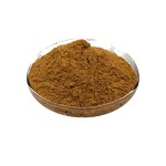 High Quality Wholesale Buchu Extract  Food Grade Buchu Leaf Extract Powder