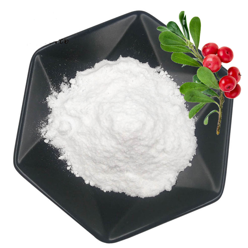 Factory Supply Good Quality Bulk Bearberry Leaf Extract Arbutin Powder Bearberry Leaf Extract Powder