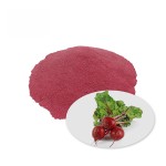 Factory Supply Wholesale Organic Beet Root Juice Powder  Organic Beetroot  Powder