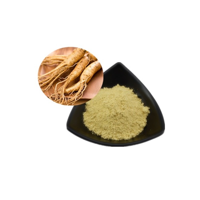Wholesale Ginseng Powder Bulk Natural Pure Ginseng Root Powder