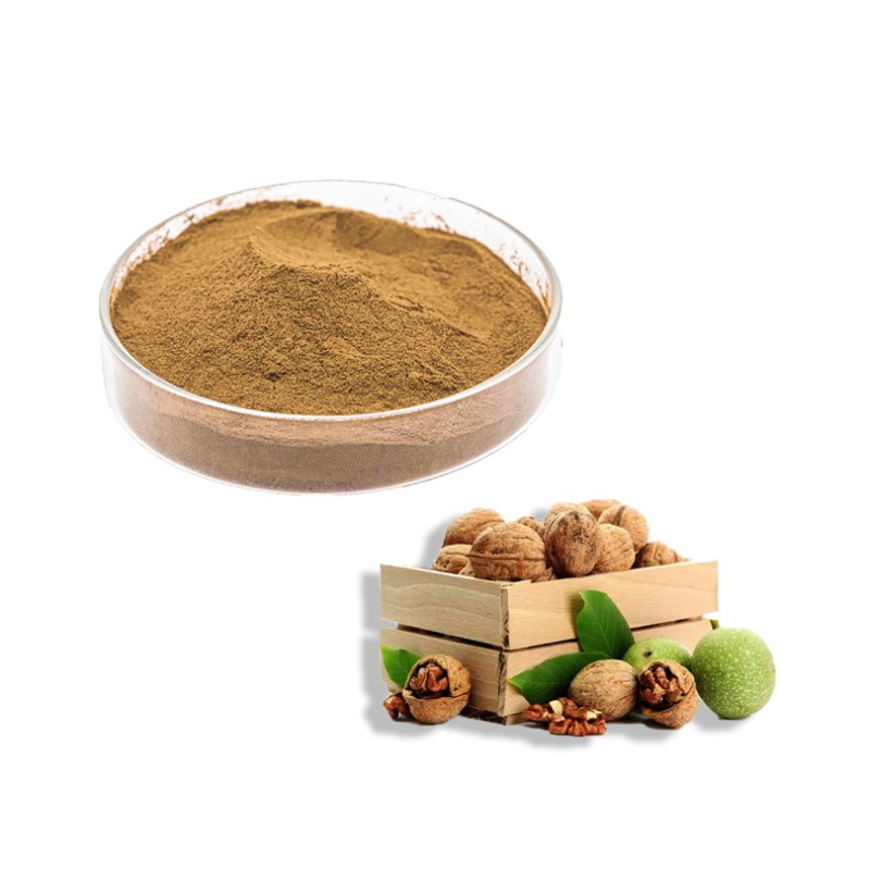Halal Factory Bulk Black Walnut Seed Powder  High Quality Walnut Powder