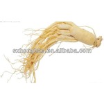 Wholesale Ginseng Powder Bulk Natural Pure Ginseng Root Powder