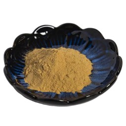 Wholesale Factory Supply Pure Rosemary Extract Powder Rosemary Leaf Extract Extract