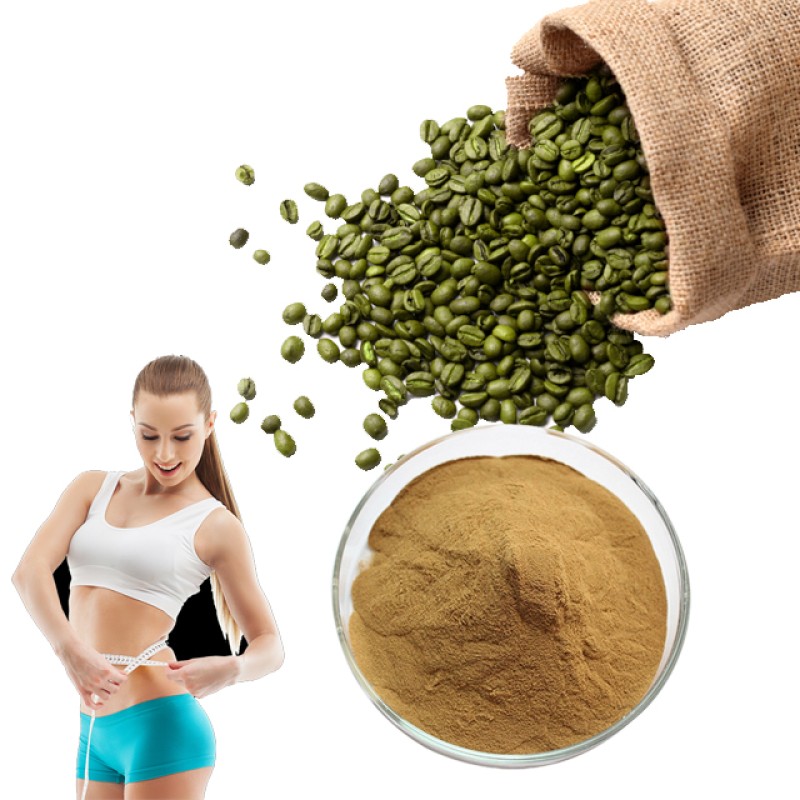Wholesale Price Green Coffee Bean Extract 50% Chlorogenic Acid Powder