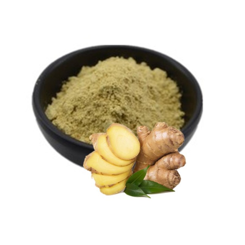Ginger Root Extract Natural Wholesale Gingerol 5% Ginger Extract Powder