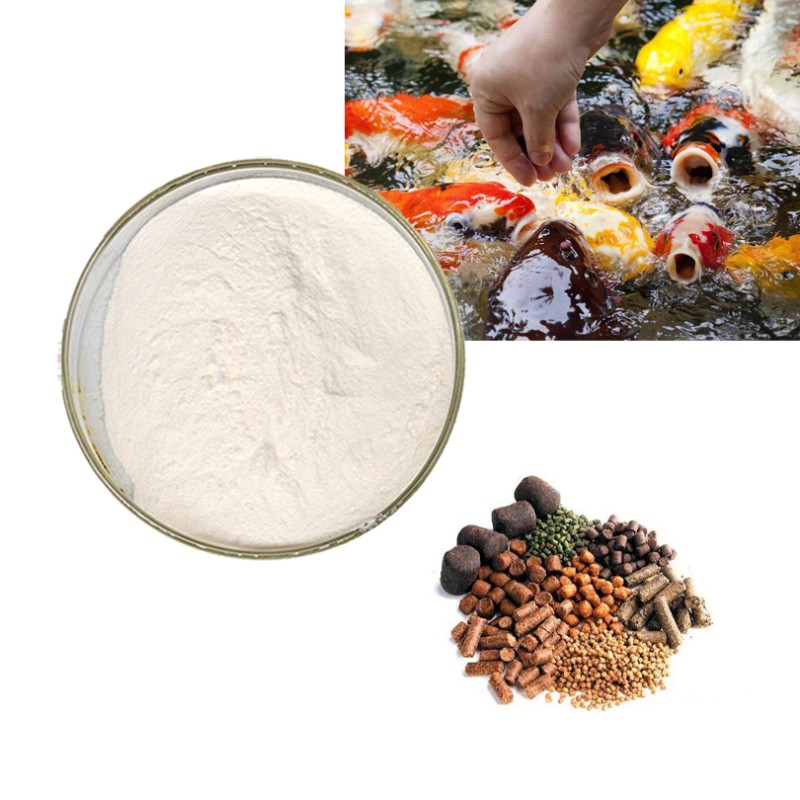 Factory supply wholesale betaine hcl animal feed 99% betaine