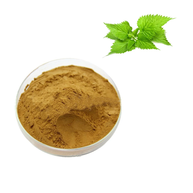 Factory Supply Good Quality Bulk Nettle Extract Powder Silicone