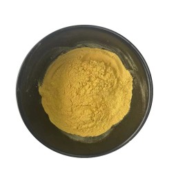 Organic/ Kosher/ Halal Certificated Cordyceps Militaris Extract 20% Polysaccharides