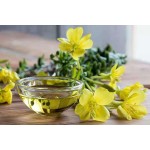 Natural Evening Primrose Capsules Seed Oil Liquid Good Quality Evening Primrose Oil Supplement